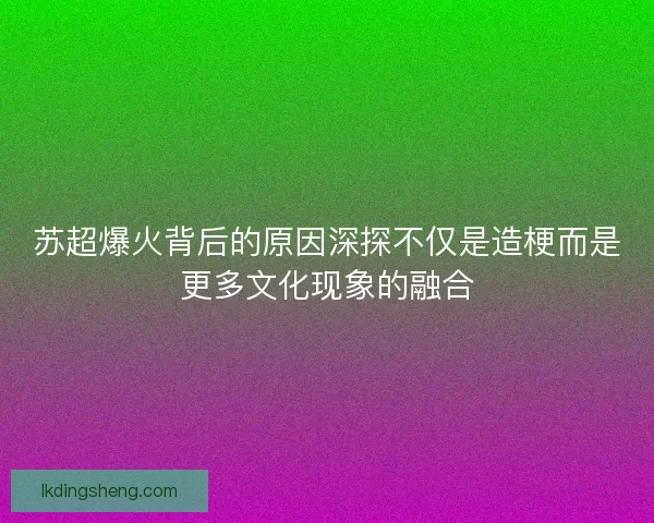 苏超爆火背后的原因深探不仅是造梗而是更多文化现象的融合